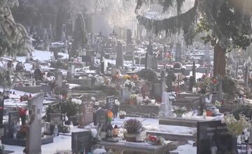 FOTO: Padnutý strom porušil náhrobný kameň na cintoríne v Trenčíne 