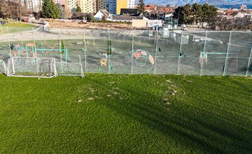 FOTO: Nové Mesto nad Váhom rieši problém s diviakmi
