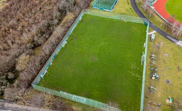 FOTO: Nové Mesto nad Váhom rieši problém s diviakmi