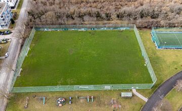 FOTO: Nové Mesto nad Váhom rieši problém s diviakmi