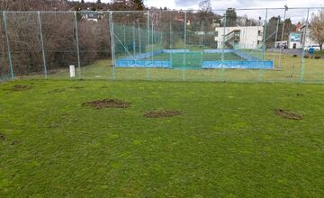 FOTO: Nové Mesto nad Váhom rieši problém s diviakmi