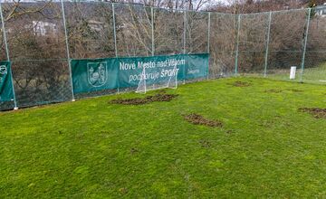 FOTO: Nové Mesto nad Váhom rieši problém s diviakmi