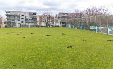 FOTO: Nové Mesto nad Váhom rieši problém s diviakmi