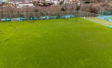 FOTO: Nové Mesto nad Váhom rieši problém s diviakmi