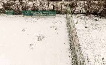 FOTO: Nové Mesto nad Váhom rieši problém s diviakmi
