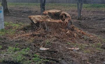 FOTO: V rekreačnej oblasti Zelená voda prebieha razia enviropolície 