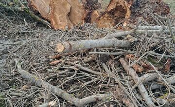 FOTO: V rekreačnej oblasti Zelená voda prebieha razia enviropolície 