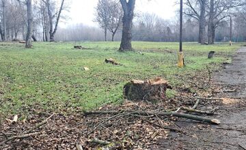 FOTO: V rekreačnej oblasti Zelená voda prebieha razia enviropolície 