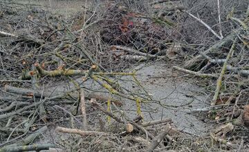 FOTO: V rekreačnej oblasti Zelená voda prebieha razia enviropolície 