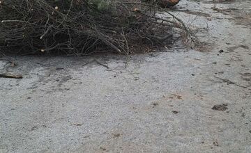 FOTO: V rekreačnej oblasti Zelená voda prebieha razia enviropolície 