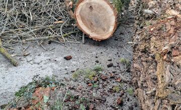 FOTO: V rekreačnej oblasti Zelená voda prebieha razia enviropolície 