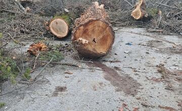 FOTO: V rekreačnej oblasti Zelená voda prebieha razia enviropolície 