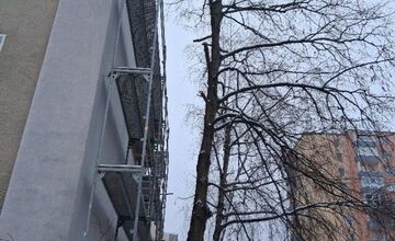 FOTO: Obyvatelia aj firmy nelegálne poškodili verejnú zeleň, prípadmi sa zaoberá enviropolícia 