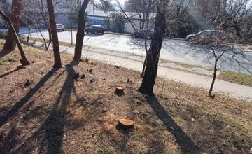 FOTO: Obyvatelia aj firmy nelegálne poškodili verejnú zeleň, prípadmi sa zaoberá enviropolícia 