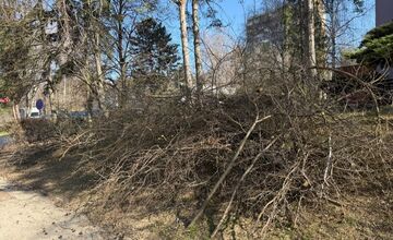 FOTO: Obyvatelia aj firmy nelegálne poškodili verejnú zeleň, prípadmi sa zaoberá enviropolícia 