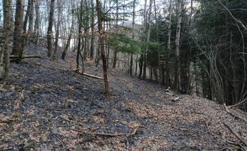 FOTO: Požiar lesa pri Dolnej Maríkovej zamestnal desiatky hasičov
