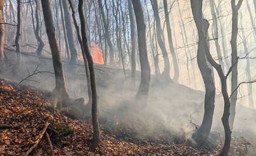 FOTO: Požiar lesa pri Dolnej Maríkovej zamestnal desiatky hasičov