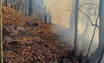 FOTO: Požiar lesa pri Dolnej Maríkovej zamestnal desiatky hasičov