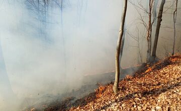 FOTO: Požiar lesa pri Dolnej Maríkovej zamestnal desiatky hasičov