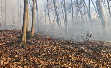 FOTO: Požiar lesa pri Dolnej Maríkovej zamestnal desiatky hasičov