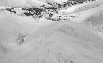 FOTO: Požiar lesa pri Dolnej Maríkovej zamestnal desiatky hasičov