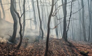 FOTO: Požiar lesa pri Dolnej Maríkovej zamestnal desiatky hasičov