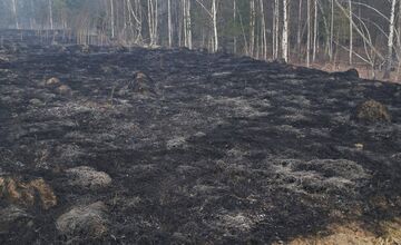 FOTO: V Handlovej horel trávnatý porast, vyžiadal si zásah mestkých policajtov aj hasičov