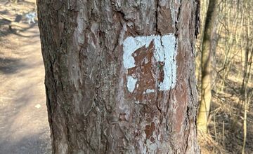 FOTO: Lesopark Brezina čelí vandalom