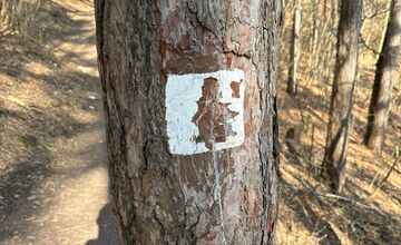 FOTO: Lesopark Brezina čelí vandalom