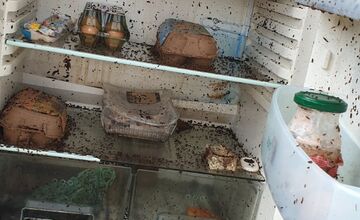 FOTO: Chladnička s nečakaným obsahom