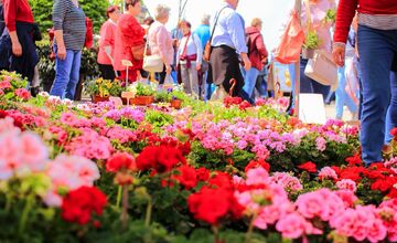 FOTO: Záhradkársky veľtrh v Trenčíne