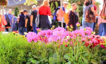 FOTO: Záhradkársky veľtrh v Trenčíne