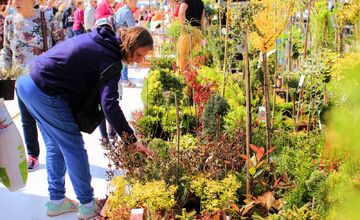 FOTO: Záhradkársky veľtrh v Trenčíne