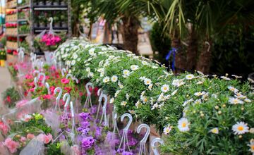 FOTO: Záhradkársky veľtrh v Trenčíne