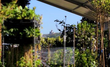 FOTO: Záhradkársky veľtrh v Trenčíne