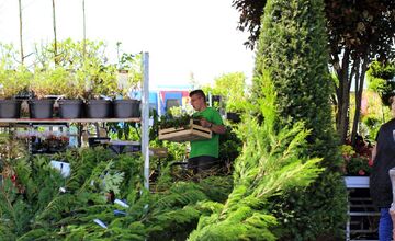 FOTO: Záhradkársky veľtrh v Trenčíne