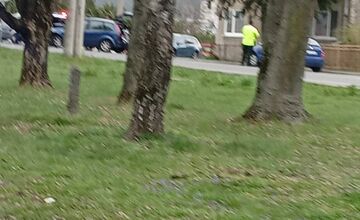 FOTO: Policajná naháňačka v Partizánskom skončila čelnou zrážkou
