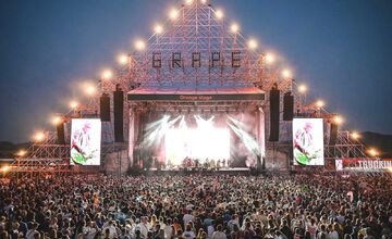 FOTO: Grape Festival