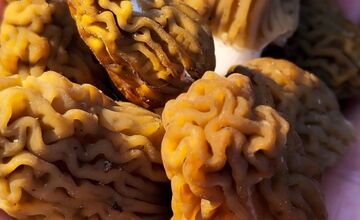 FOTO: Lesy v Trenčíne a okolí sa prebúdajú