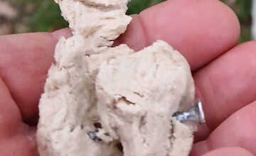 FOTO: V trenčianskom Zámostí sa objavili podozrivé návnady