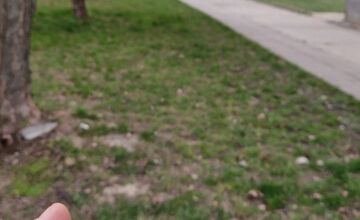 FOTO: V trenčianskom Zámostí sa objavili podozrivé návnady