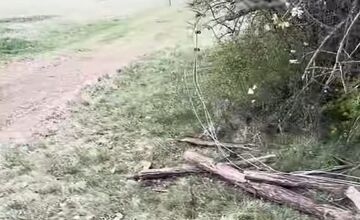 FOTO: Vandali poškodili a znehodnotili novú ohradu pre kravy v katastri obce Melčice v novom meste nad Váhom