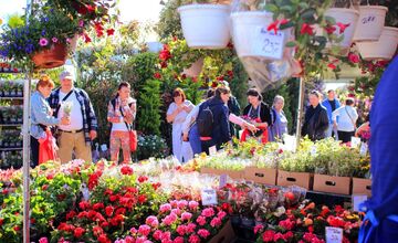 FOTO: Záradkár v Trenčíne