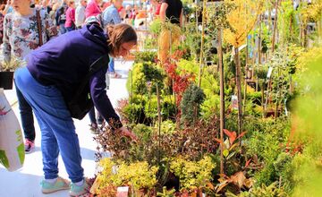 FOTO: Záradkár v Trenčíne