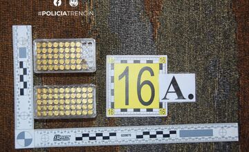 FOTO: Polícia zadržala niekoľko nelegálne držaných zbraní a komponentov mužovi z prievidzského okresu 