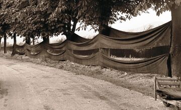 FOTO: Bratia Trnkovci obnovujú v Púchove tradíciu modrotlače