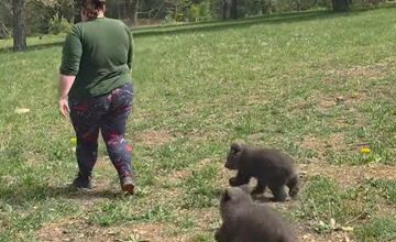 FOTO: Medvedice už dostali v hlasovaní svoje mená 