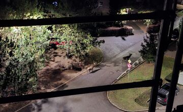 FOTO: Srna prekvapila Južanov v Trenčíne pri detskom ihrisku 