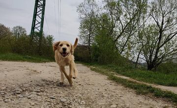 FOTO: Trenčania sa bavili o tom, kde radi trávia voľný čas