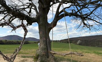 FOTO: Trenčania sa bavili o tom, kde radi trávia voľný čas
